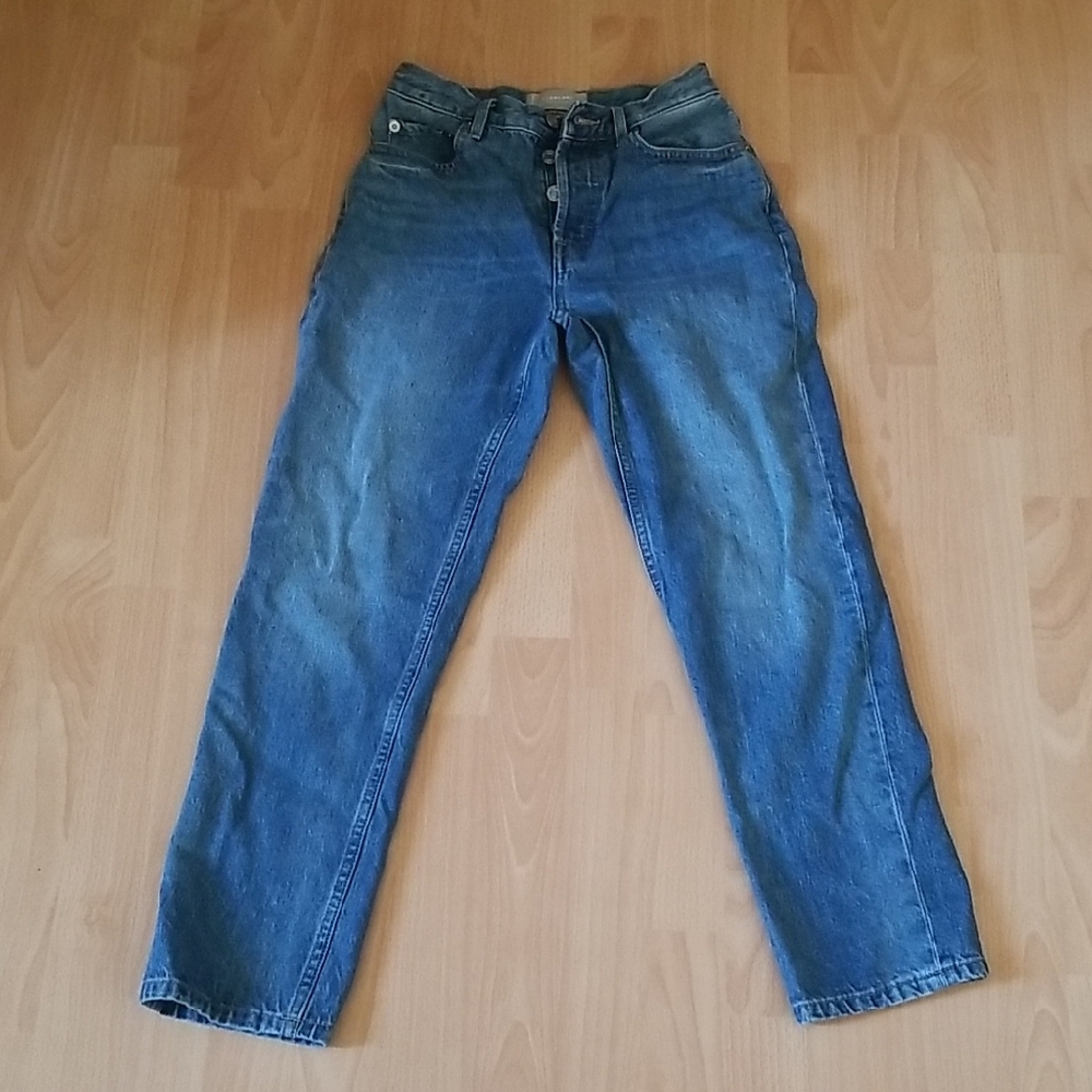 Womens Everlane 90s Cheeky Jean Size 24 Ankle EUC Classic Denim